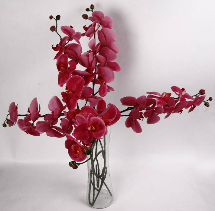 Flowers - Orchids and Lily, Uberlyfe Uberlyfe Minimalist living room Accessories & decoration