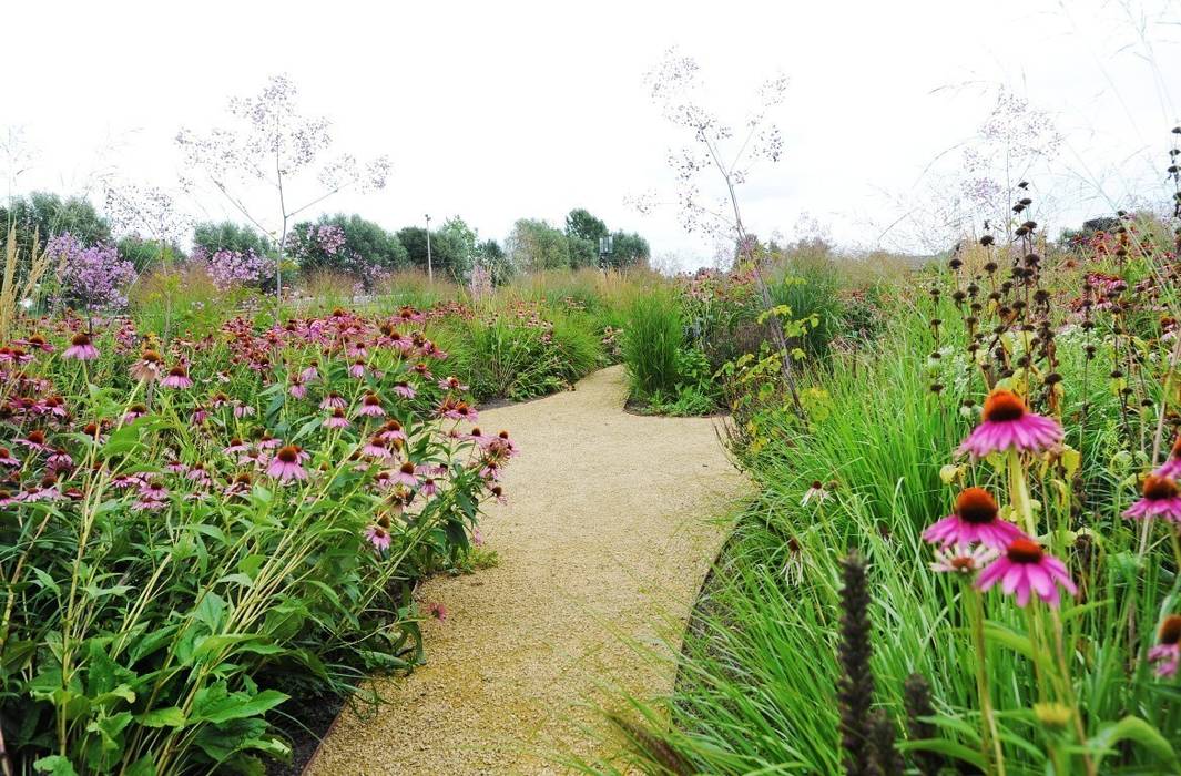 Prairietuin voor spelende kinderen en hobby vee, Hendriks Hoveniers Hendriks Hoveniers Landelijke tuinen Bloem,Plant,Lucht,Plantengemeenschap,Natuurlijk landschap,Boom,Gras,terrestrische plant,Grasland,Kruidachtige plant