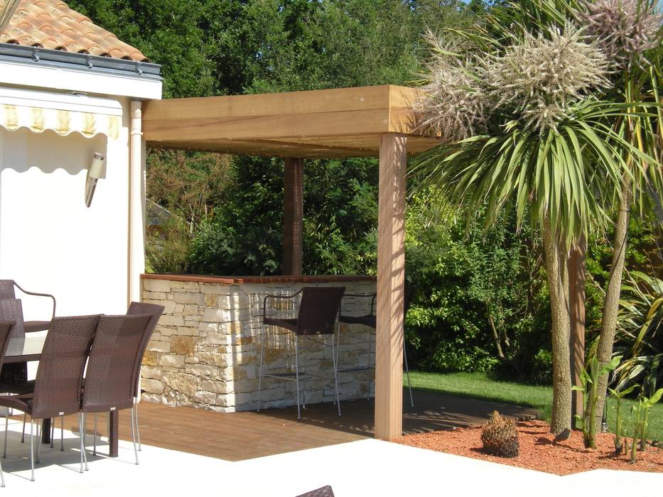 Pergola adossée BOIS EXPO DISTRIBUTION Jardin moderne