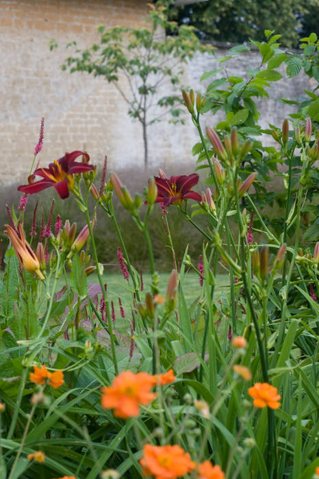 Walled Garden, Bradford Upon Avon, Katherine Roper Landscape & Garden Design Katherine Roper Landscape & Garden Design Jardines modernos: Ideas, imágenes y decoración