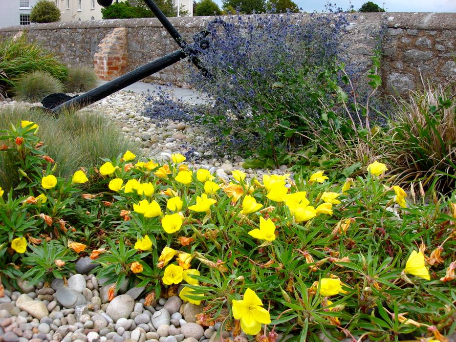 Coastal planting Roger Webster Garden Design Modern garden