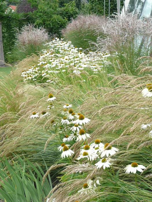 Garten in Stuttgart-Nord, Pfrommer + Roeder Pfrommer + Roeder สวน