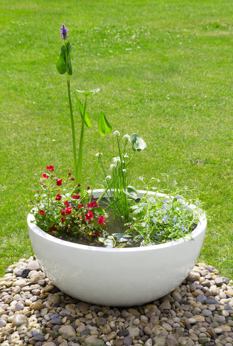 Pond in a Pot Kit with White Fibreglass Planter Primrose Moderner Garten Accessoires und Dekoration