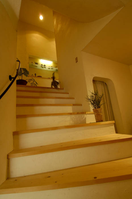 土佐漆喰の家, 大森建築設計室 大森建築設計室 オリジナルスタイルの 玄関&廊下&階段