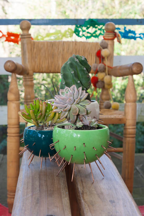 MACETA - MODELO CACTUS CURADORAS Jardines modernos: Ideas, imágenes y decoración Floreros y maceteros