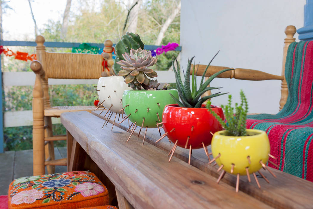 COLECCION CACTUS, CURADORAS CURADORAS Terrace Accessories & decoration