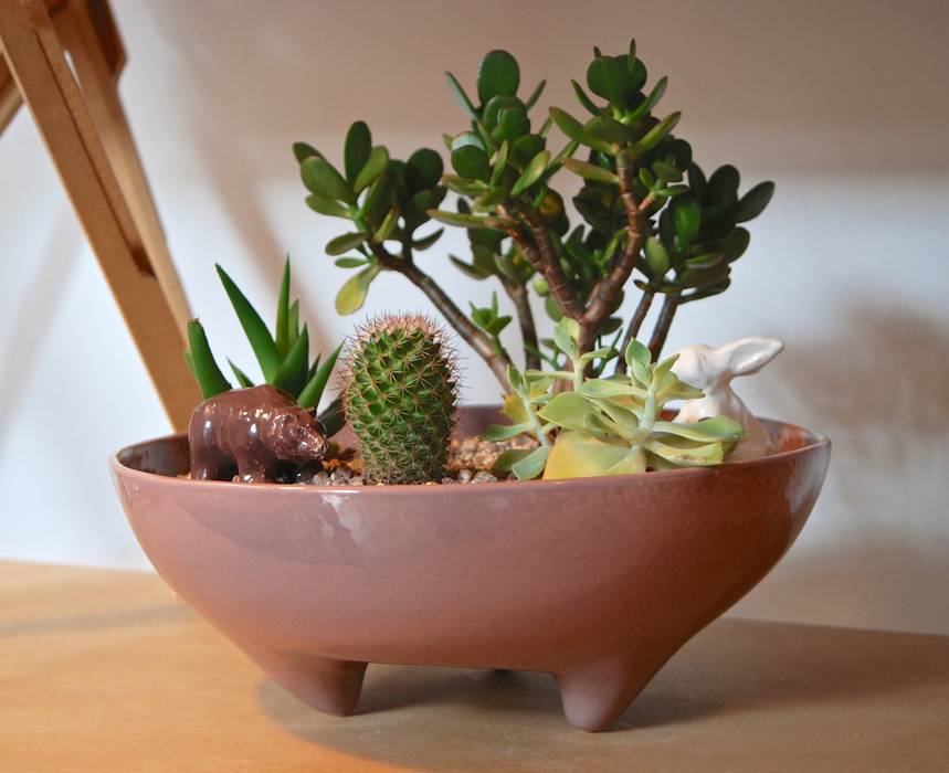 MODELO PAILA, CURADORAS CURADORAS Vườn phong cách tối giản Plant pots & vases