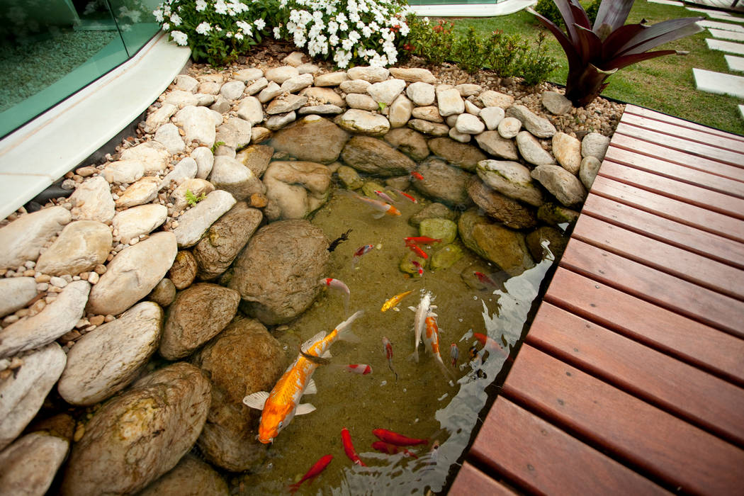 homify Modern garden Swim baths & ponds