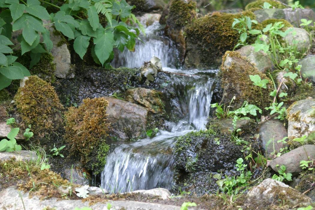 Wasser im garten, bachlauf japangartenkultur asiatischer