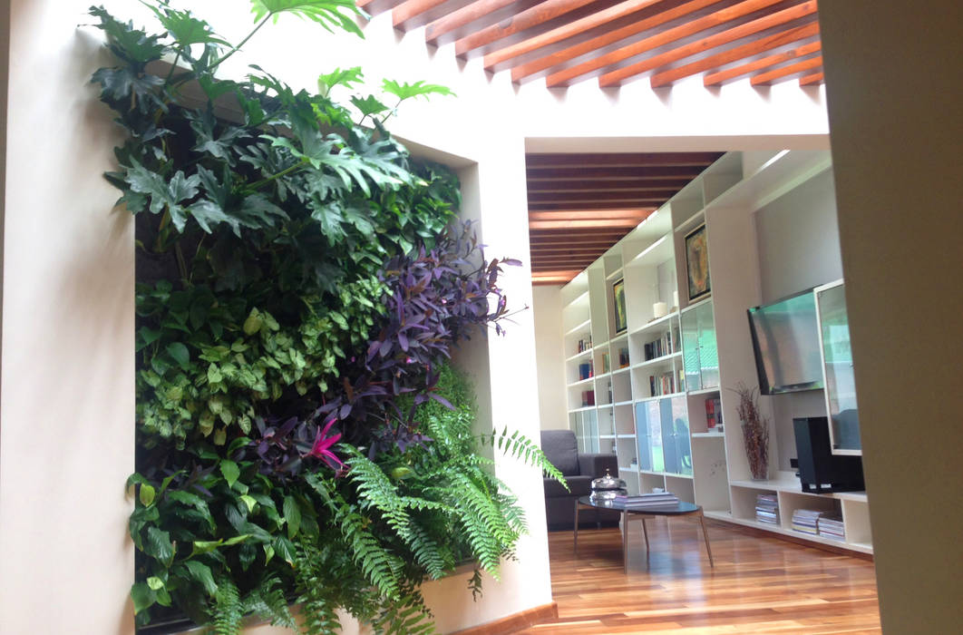 Muros Verdes - Jardines Verticales , ENVERDE ENVERDE 室内花园 室內景觀