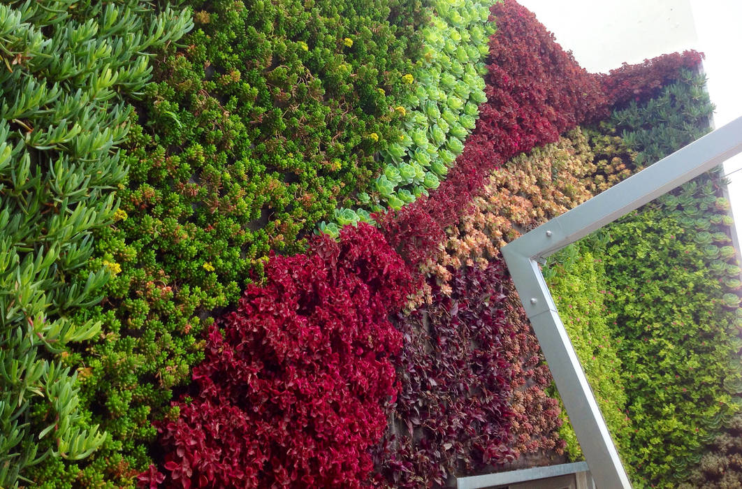 Jardín vertical ENVERDE Balcones y terrazas de estilo moderno