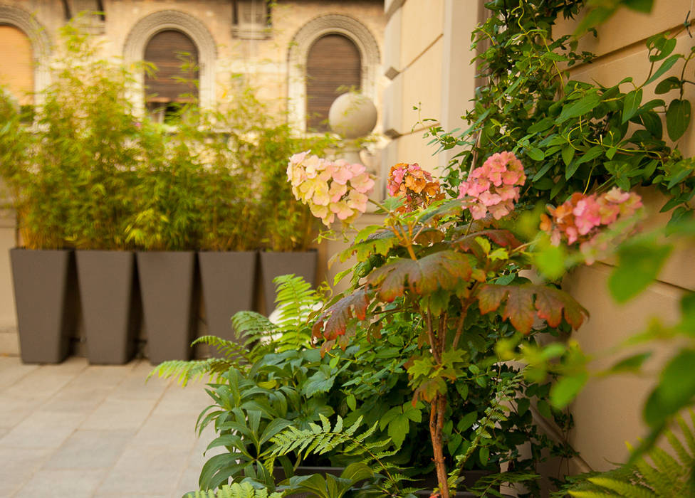 Terrazzo in Torino, Neò Natura su misura Neò Natura su misura Balcones y terrazas modernos: Ideas, imágenes y decoración Flores y plantas