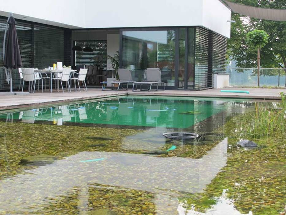 Design Bio Pool, Nagelschmitz Garten- und Landschaftsgestaltung GmbH Nagelschmitz Garten- und Landschaftsgestaltung GmbH Moderner Garten Wasser,Pflanze,Gebäude,Schwimmbad,Gras,Schatten,Sessel,Urban design,Freizeit,Wohngebiet