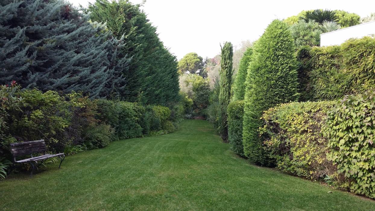 Jardin Cannes , Nazarian Espaces Verts Nazarian Espaces Verts Jardin méditerranéen Plante,Ciel,Botanique,Paysage naturel,loger,Arbre,Terrain,Haie,À feuilles persistantes,Gazon