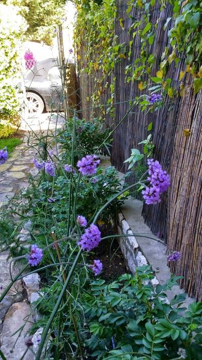 Jardin Palm Beach, Nazarian Espaces Verts Nazarian Espaces Verts Mediterranean style gardens