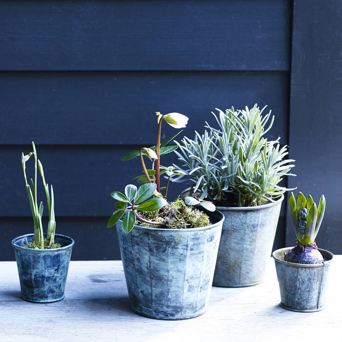 Brent Verdigris Plant Pot, Rowen & Wren Rowen & Wren Rustic style garden Plant pots & vases