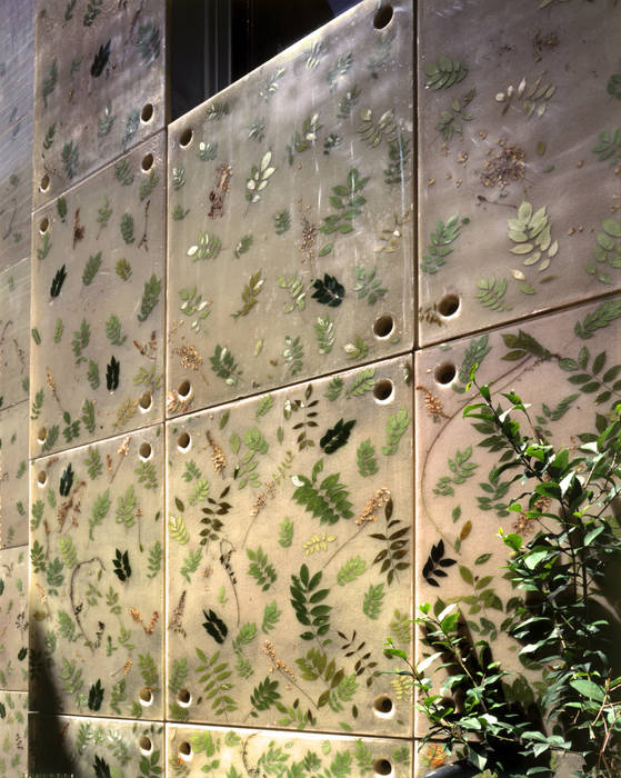 Détail de façade Jean de Giacinto Maisons originales Plante,Feuille,Rectangle,Plante terrestre,mur,Design urbain,Herbe,Bois,Un verre,Façade