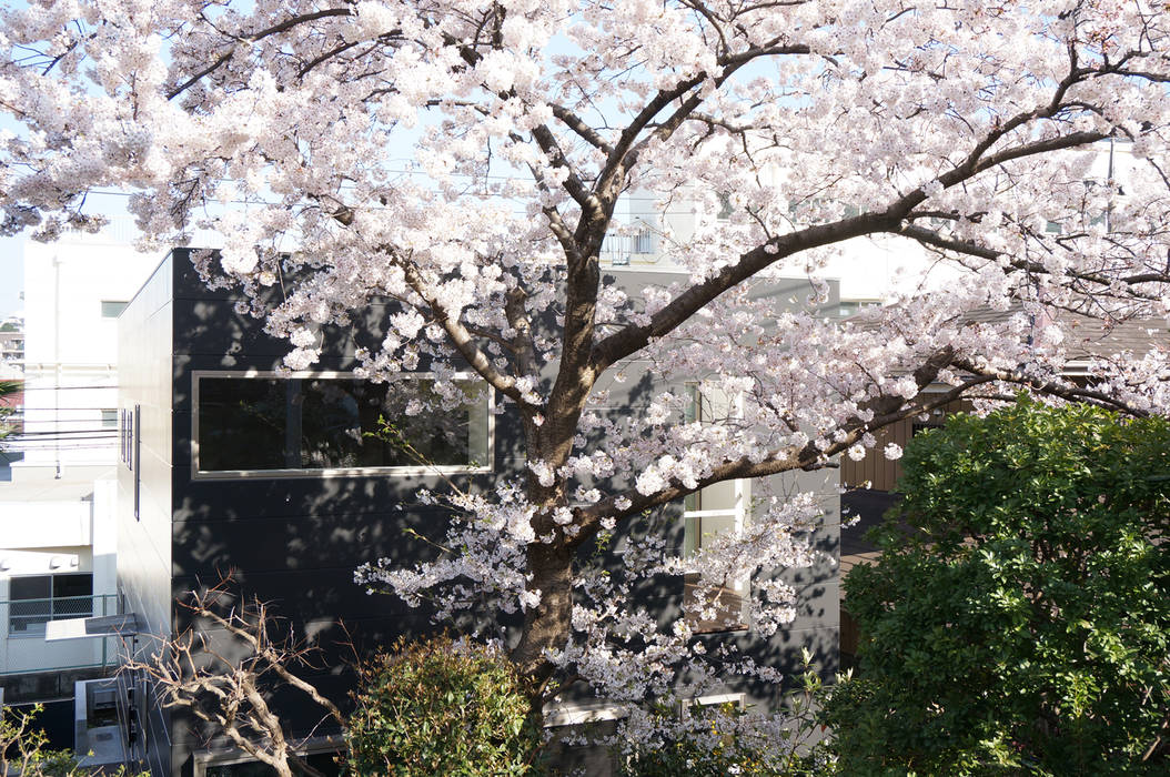 音が紡ぐ家, 松岡淳建築設計事務所 松岡淳建築設計事務所 Rumah Modern