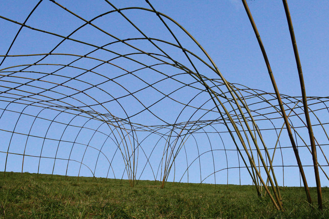 Structure Géante en bambou Déambulons Espaces commerciaux Bambou Vert dome,durable,evenement,festival,land-art,pergola,sur-mesure,Lieux d’événements