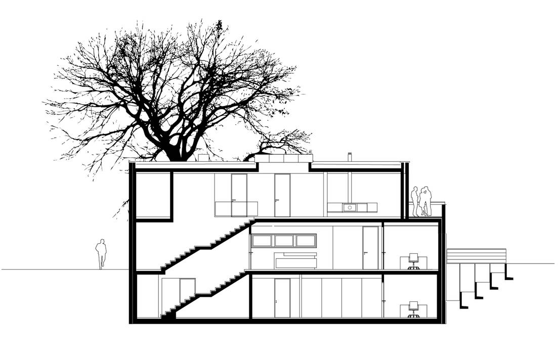 Schnitt KITZMANN ARCHITEKTEN