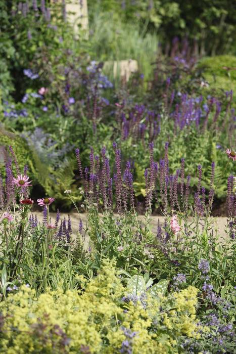 RHS Hampton Court Palace Garden Show 2010 - The Combat Stress Therapeutic Garden, Fi Boyle Garden Design Fi Boyle Garden Design Classic style garden