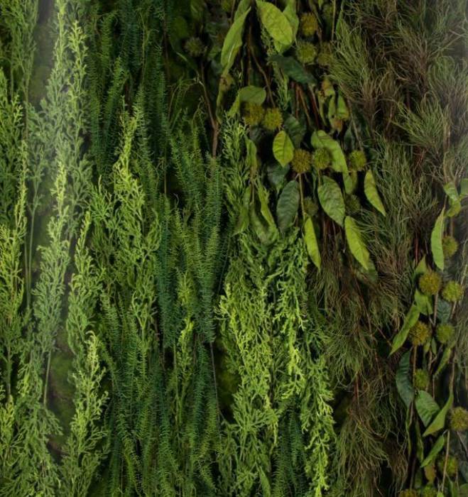 Green Wall by Materflora Materflora Lda. Country style garden Plants & accessories