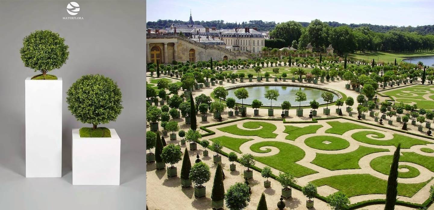 Versailles Style! Materflora Lda. Jardines de estilo clásico Plantas y accesorios
