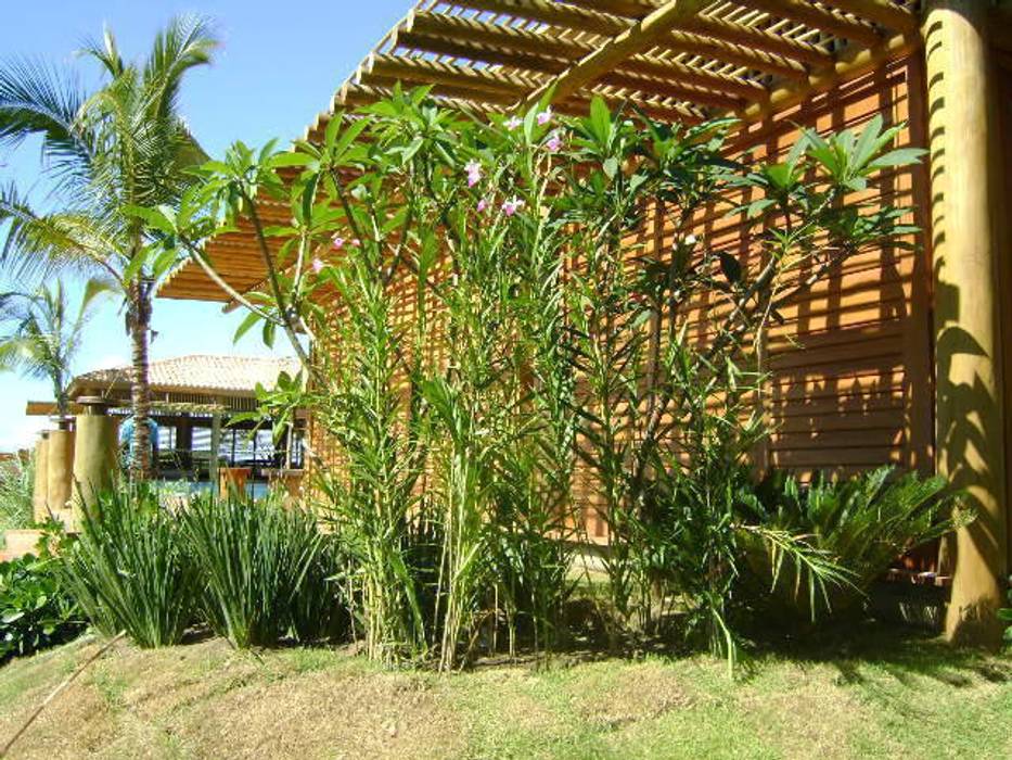 CASA TRANCOSO.BAHIA.BRASIL, Línea Paisagismo.Claudia Muñoz Línea Paisagismo.Claudia Muñoz Taman Tropis