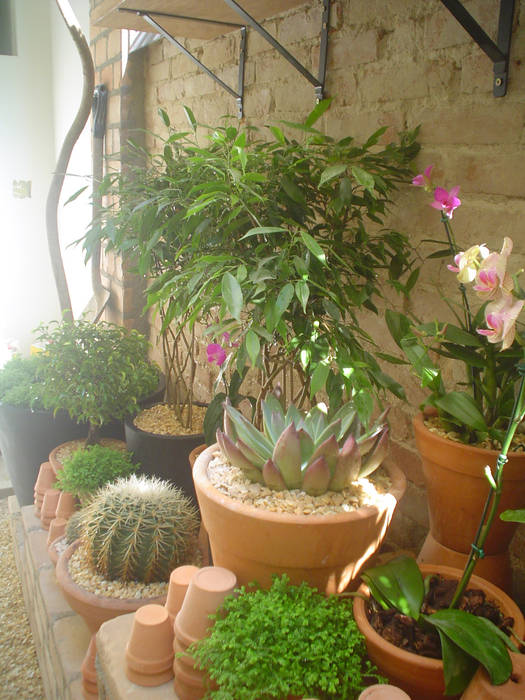 PEQUENO JARDIM APARTAMENTO TÉRREO. SÃO PAULO.BRASIL, Línea Paisagismo.Claudia Muñoz Línea Paisagismo.Claudia Muñoz Jardins modernos