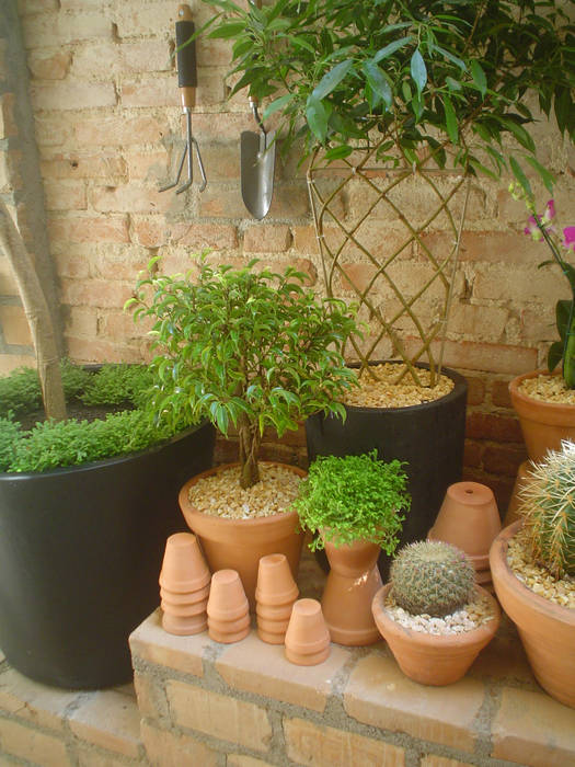 PEQUENO JARDIM APARTAMENTO TÉRREO. SÃO PAULO.BRASIL, Línea Paisagismo.Claudia Muñoz Línea Paisagismo.Claudia Muñoz Jardines modernos