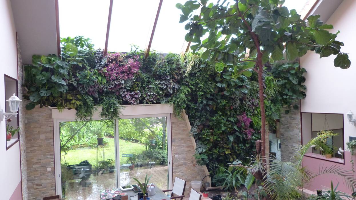 Végétaux naturels - Mur végétal intérieur (patio), Vertical Flore Vertical Flore Anexos de estilo tropical