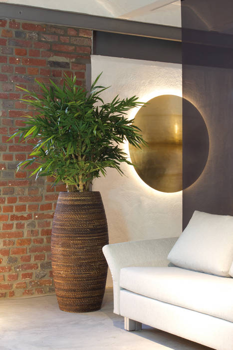 NATURA MAGELLAN Pflanzgefäß homify Interior garden Interior landscaping