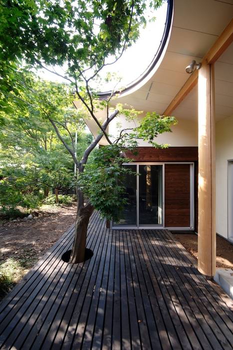 木漏れ日屋根の家, 前田敦計画工房 前田敦計画工房 Casas modernas: Ideas, imágenes y decoración