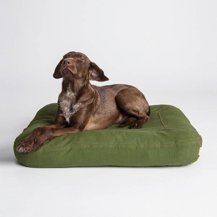 Interior Dog Beds, Cloud 7 Finest Interiors for Dogs & Dog Lovers Cloud 7 Finest Interiors for Dogs & Dog Lovers Moderne woonkamers Accessoires & decoratie