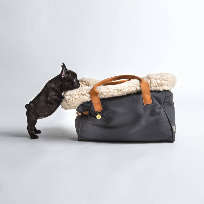 Dog CITY CARRIER (S) Cloud 7 Finest Interiors for Dogs & Dog Lovers Modern living room Accessories & decoration