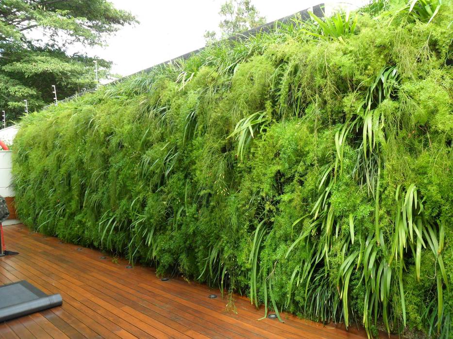 Projetos Diversos, Quadro Vivo Urban Garden Roof & Vertical Quadro Vivo Urban Garden Roof & Vertical Tropical style garden