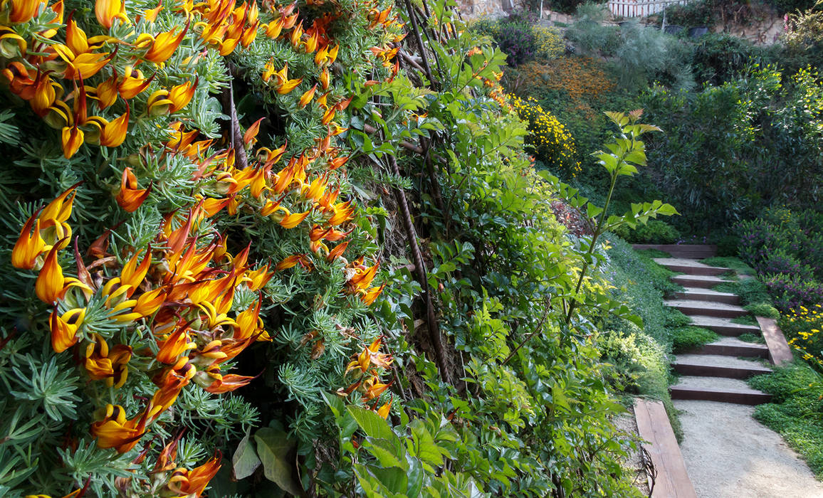 Vegetación para pendientes fuertes LANDSHAFT Jardines de estilo mediterráneo