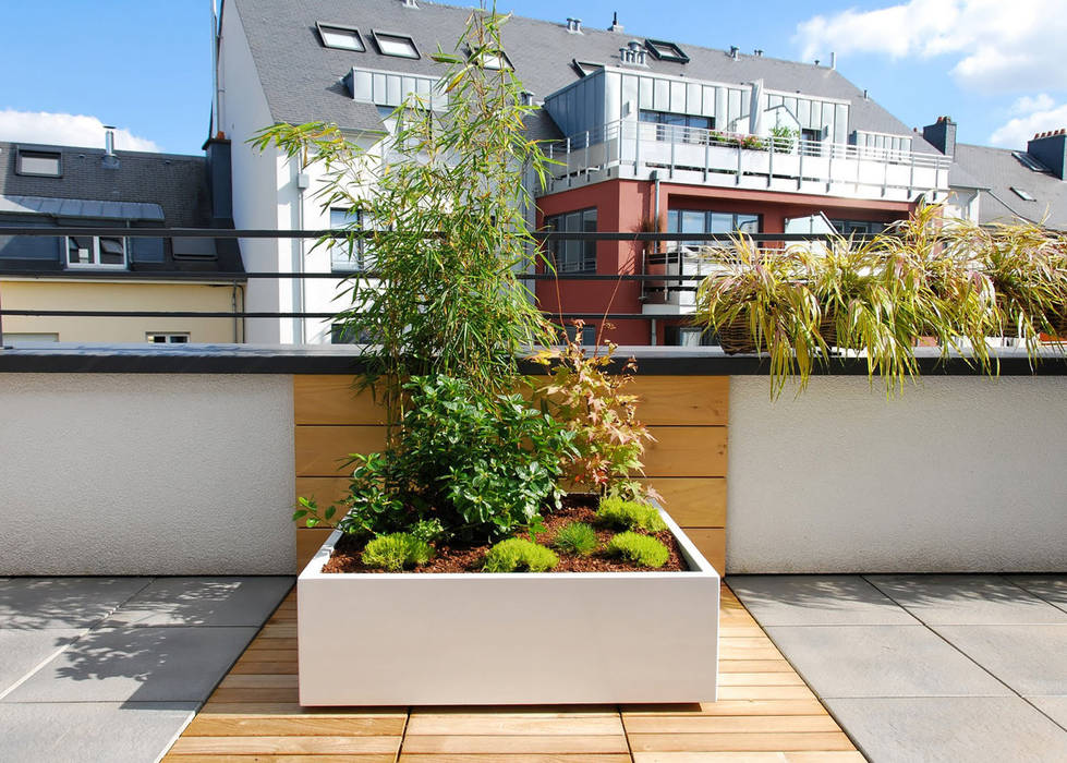 Custom planters IMAGE'IN - Designing of a private terrace in Luxembourg, ATELIER SO GREEN ATELIER SO GREEN Balcones y terrazas modernos Plantas y flores