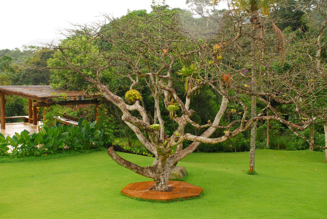 Residência SA - Ilhabela, SP, Gil Fialho Paisagismo Gil Fialho Paisagismo