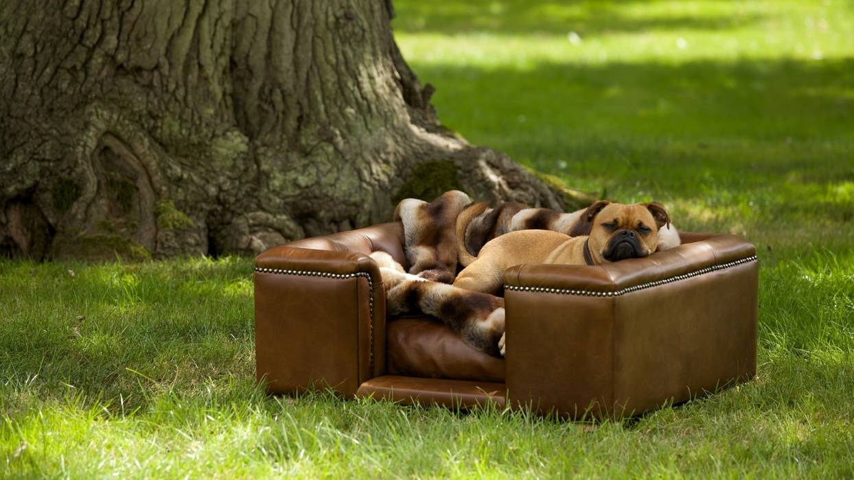 Dog Sofa - Sandringham small in Natural Italian Leather Scott's of london Klassische Wohnzimmer Leder Grau Sofas und Sessel