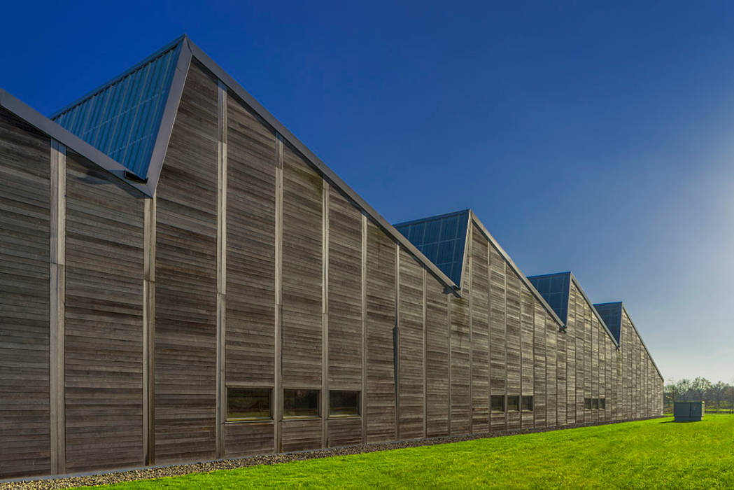 Bedrijfspand mega hout &amp; plaat te drachten dorenbos architekten bv