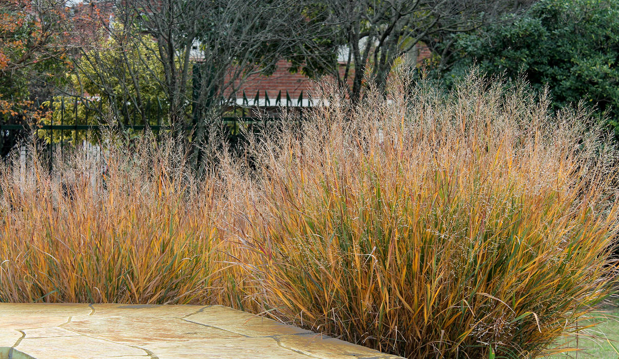 Otoños que enamoran en la villa.. color, textura, sensaciones..., MARIELA DURA ARQUITECTURA PAISAJISTA MARIELA DURA ARQUITECTURA PAISAJISTA Jardines de estilo moderno