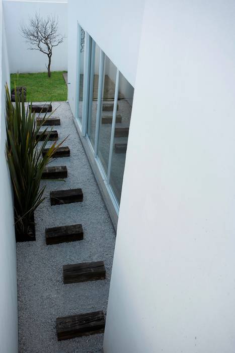 Casa Pitahayas 62, Zibatá, El Marqués, Querétaro, JF ARQUITECTOS JF ARQUITECTOS Сад в стиле минимализм Растения