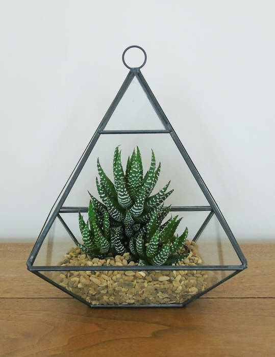Glass Pyramid Terrarium homify Industrial style garden Plants & accessories