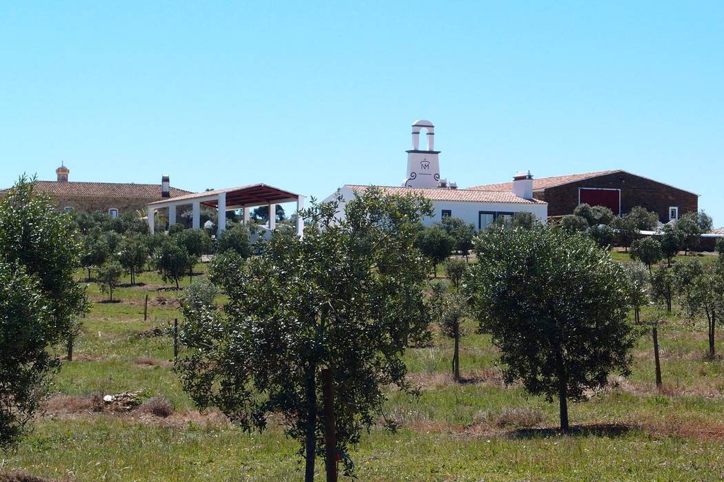 Casa tradicional no Alentejo no meio da natureza, José Baganha & Arquitectos Associados José Baganha & Arquitectos Associados Будинки