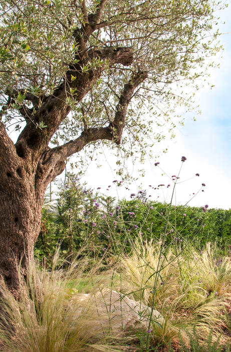 Cerco l'estate tutto l'anno, exTerra | consulenze ambientali e design nel verde exTerra | consulenze ambientali e design nel verde Giardino in stile mediterraneo Piante & Fiori