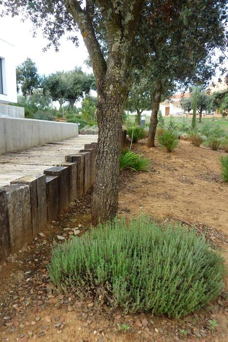 ARQUITECTURA CONTEMPORÁNEA - JARDÍN NATURALIZADO, Ángel Méndez, Arquitectura y Paisajismo Ángel Méndez, Arquitectura y Paisajismo Jardines de estilo mediterráneo