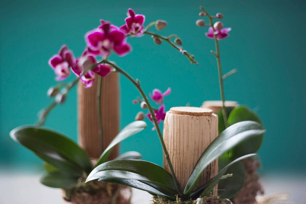 Garrafas com orquídeas. Ateliê de Cerâmica - Flavia Soares JardimPotes vasos