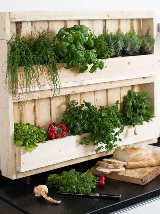 Verticale pallet tuin van POPUPPALLETS, Pop up Pallets Pop up Pallets بلكونة أو شرفة نباتات و زهور