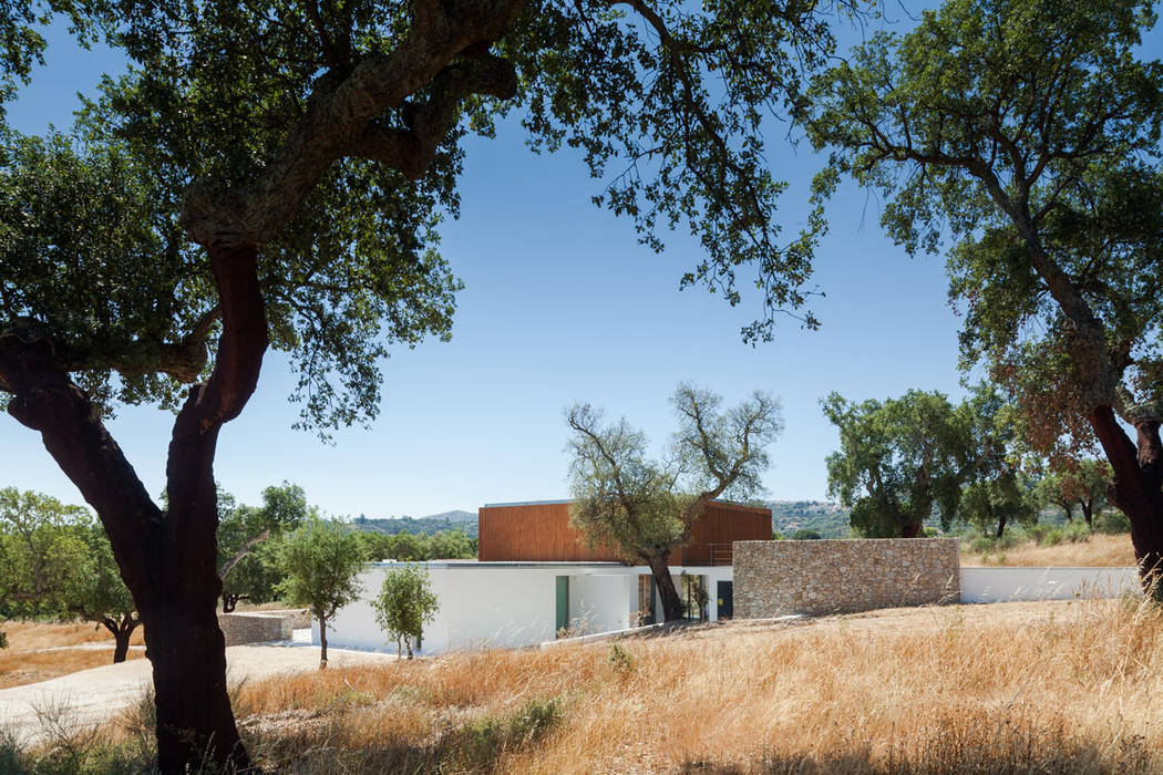 QUINTA DOS POMBAIS HOUSE, OPERA I DESIGN MATTERS OPERA I DESIGN MATTERS Casas modernas Madeira Acabamento em madeira